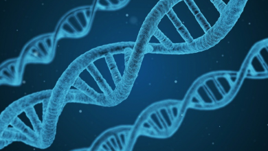 Genetik Hastalık Nedir? Genetik Hastalık Çeşitleri Nelerdir?