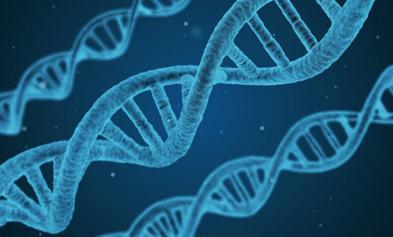 Genetik Hastalık Nedir? Genetik Hastalık Çeşitleri Nelerdir?